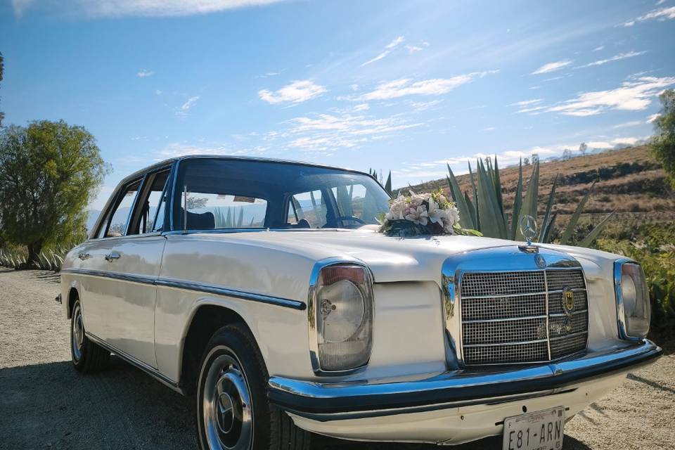 Mercedes Benz