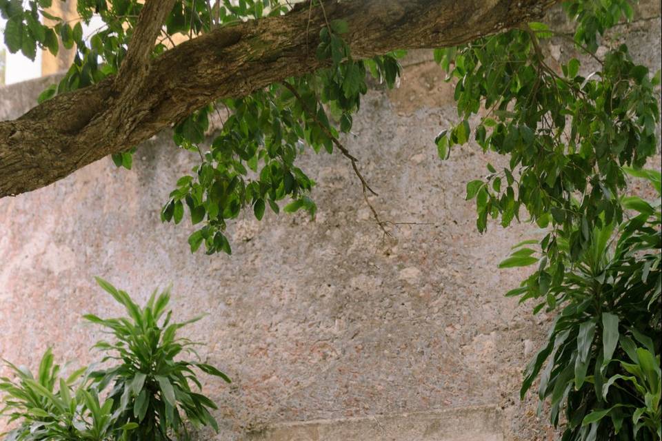 Hacienda San José