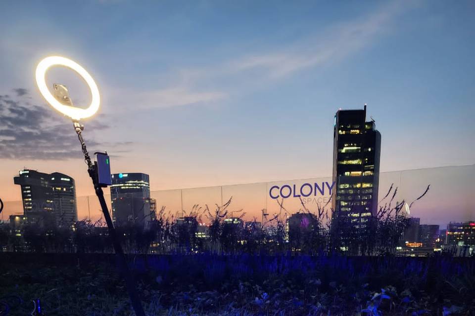 Colony