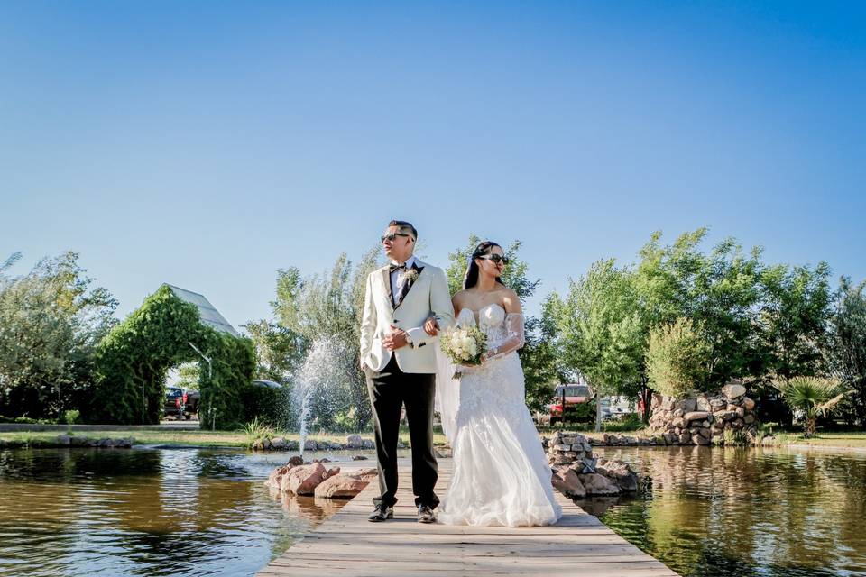 Boda D&P