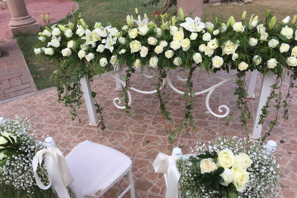 Torres Vivas Eventos