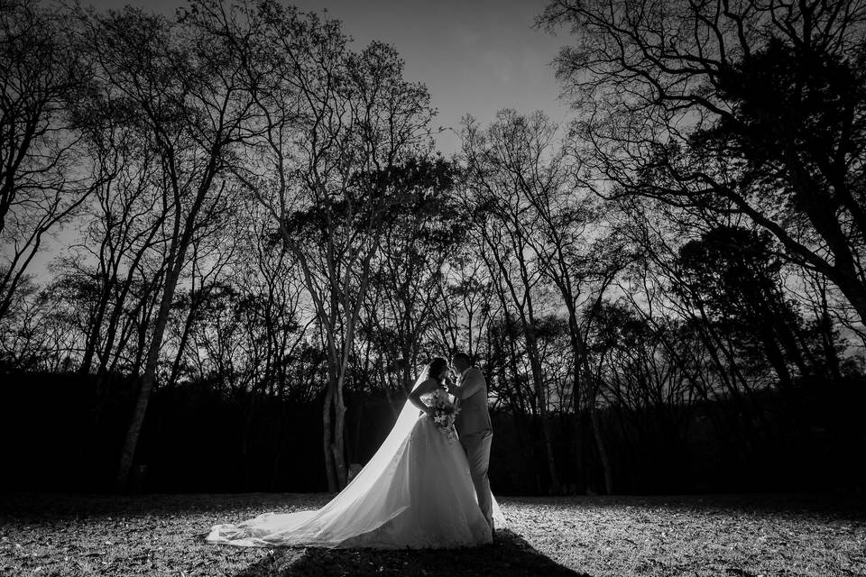 Bodas BW10