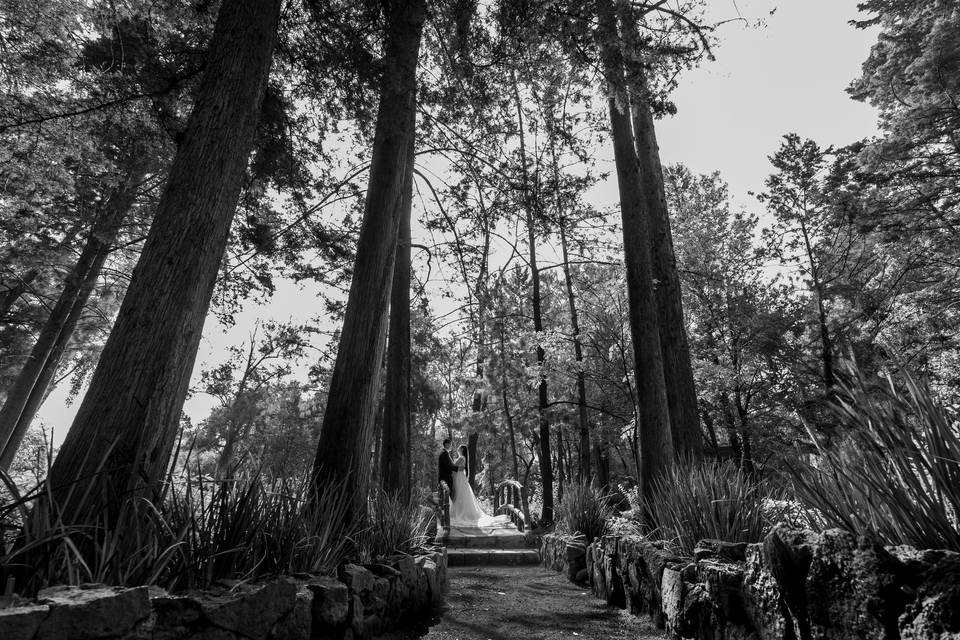 Sesión parque japones
