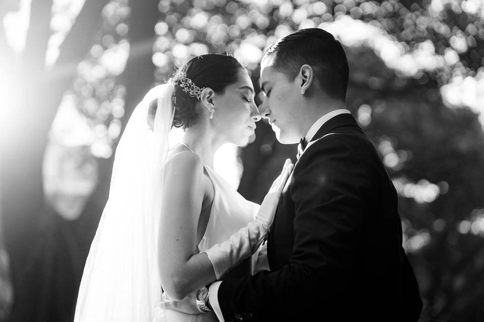 Bodas BW