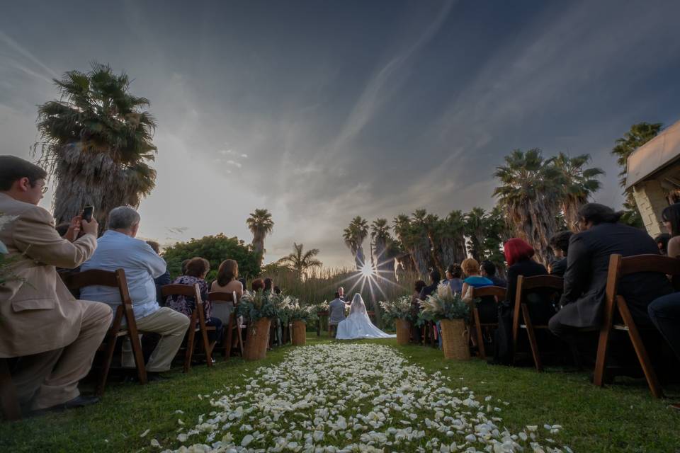 Boda jardín7