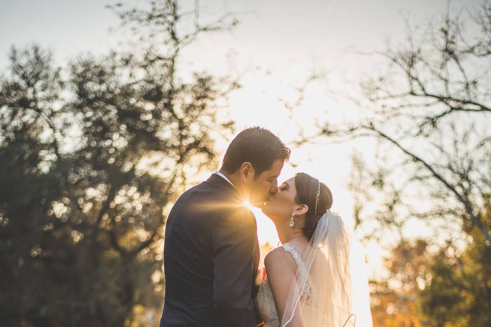 Trash the dress