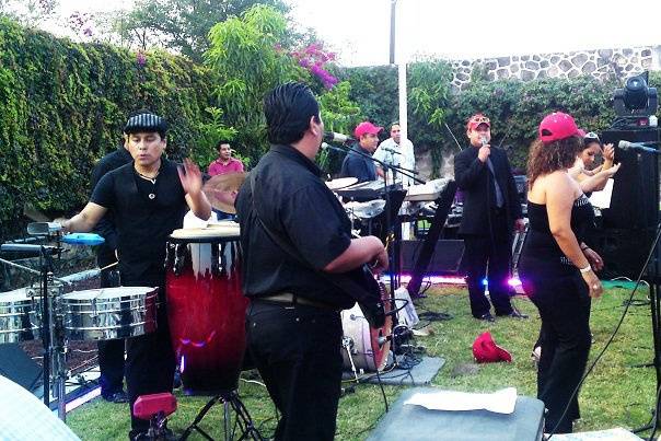 Ideal para su evento