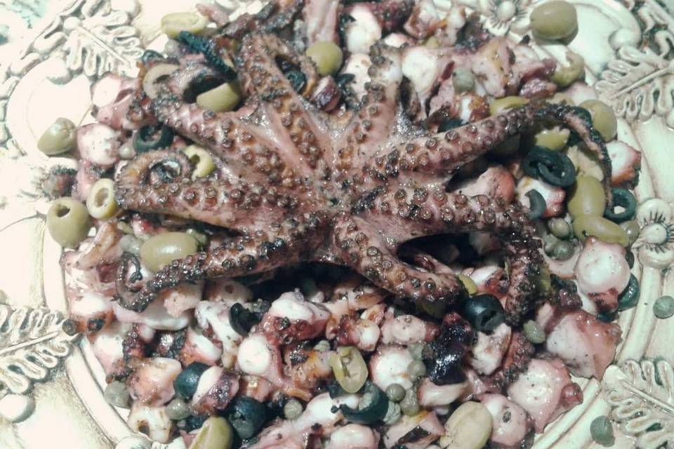 Pulpo