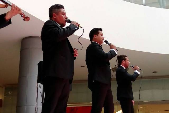 Grupo Romanza