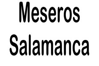 Meseros Salamanca logo