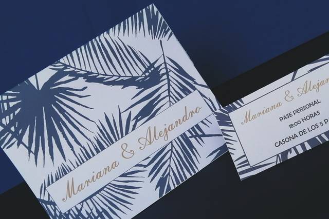 Invitación basica