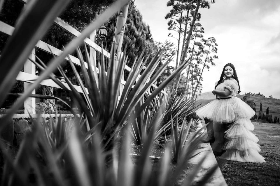Sebastian Padilla Fotografía