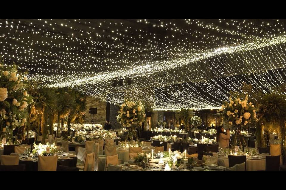 Bodas