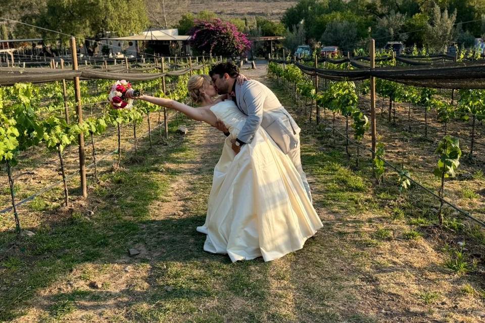 Bodas