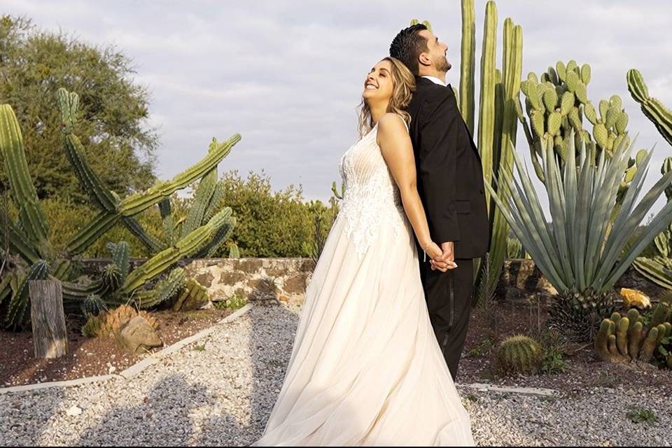 Bodas