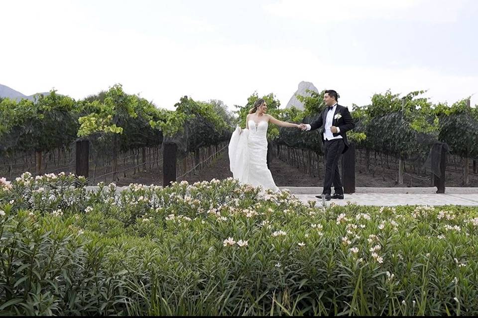 Bodas