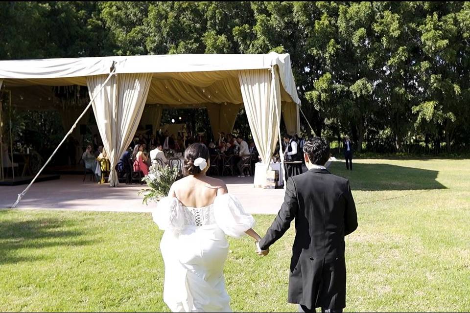 Bodas