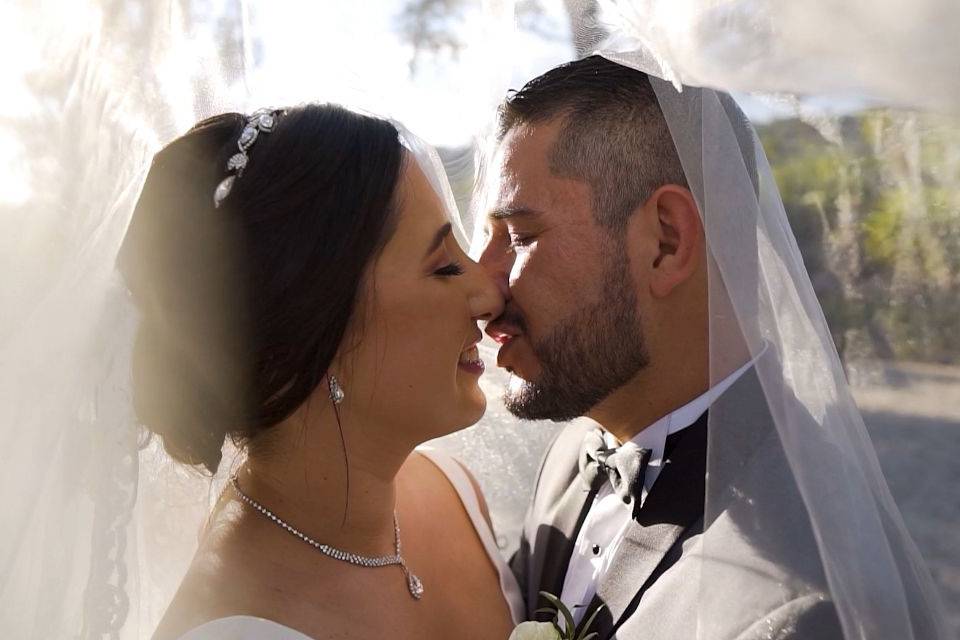 Bodas