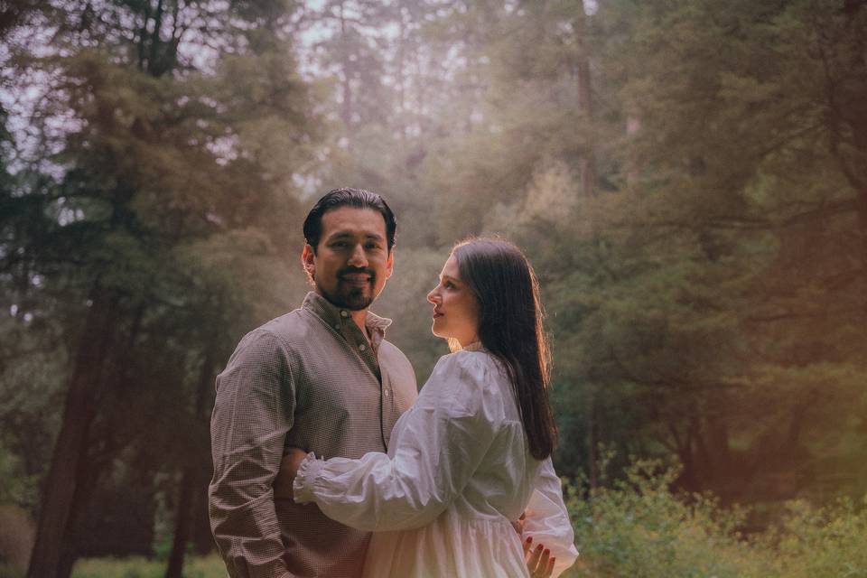 Desierto de los leones