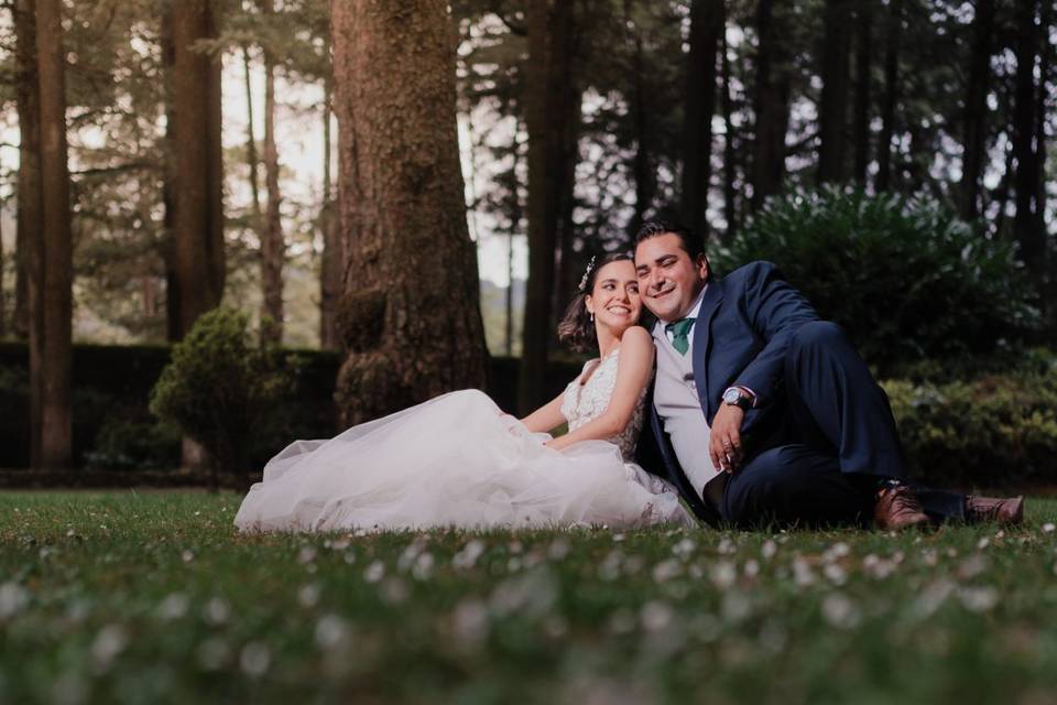 Desierto de los leones