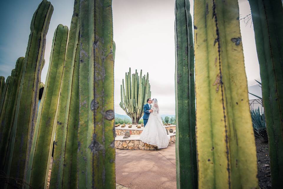 Mauricio Renteria Fotografía