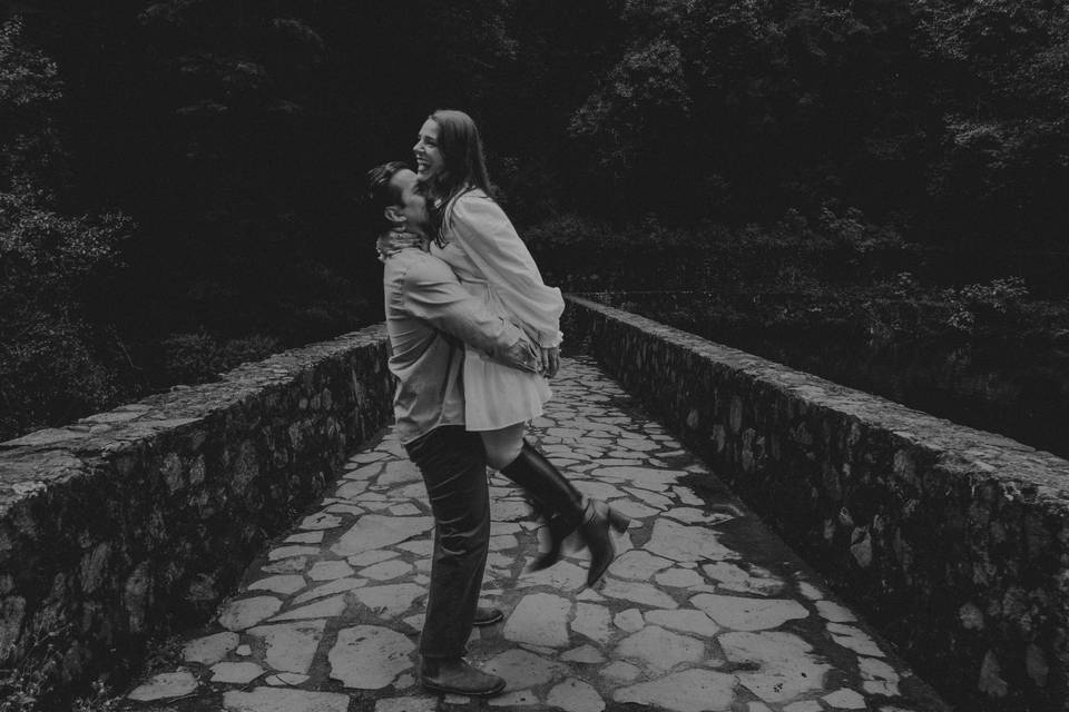 Desierto de los leones