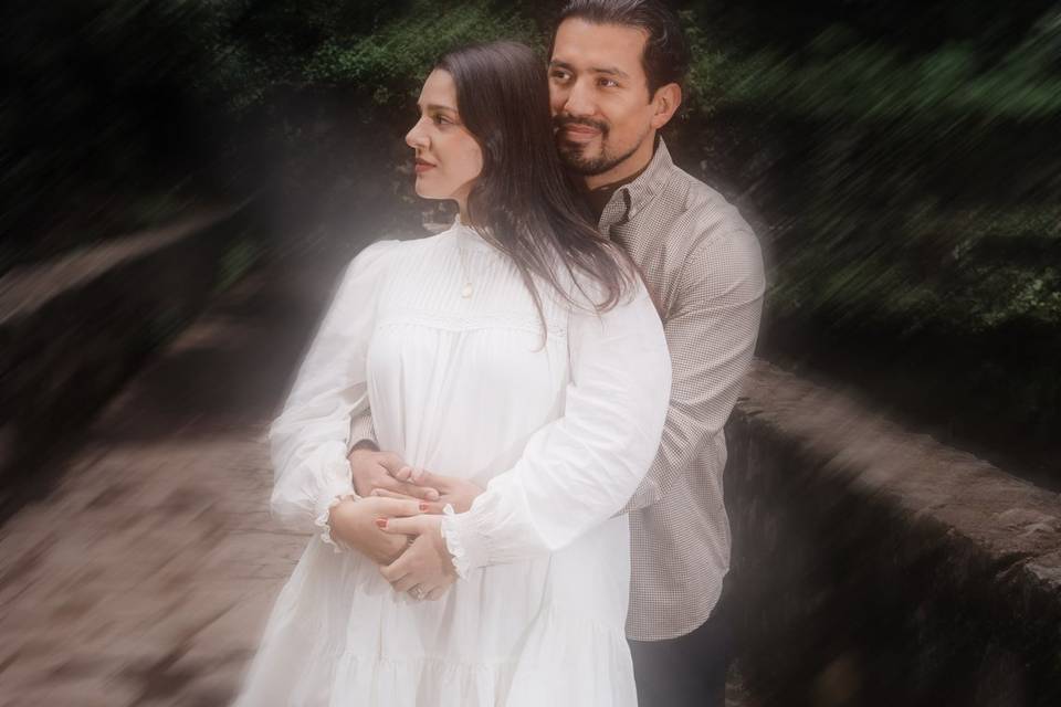 Desierto de los leones