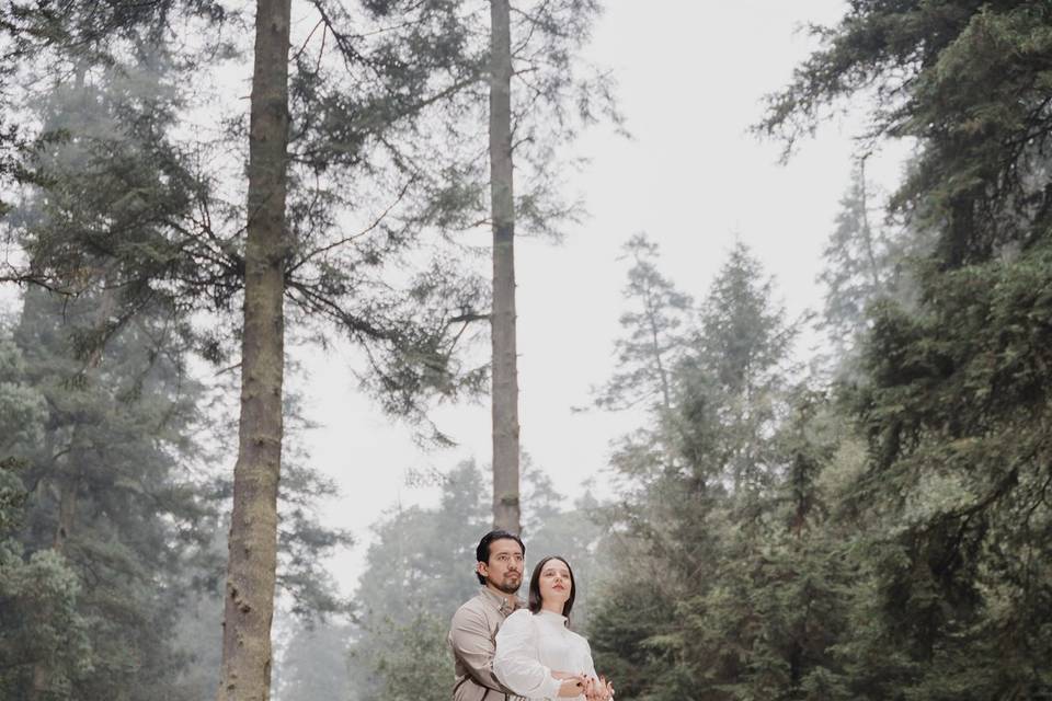 Desierto de los leones