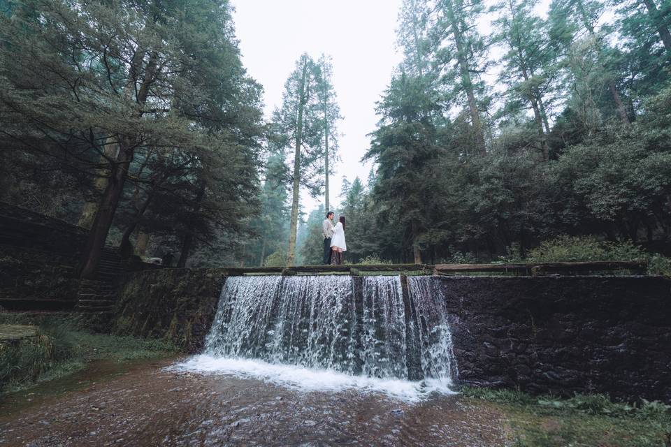 Desierto de los leones