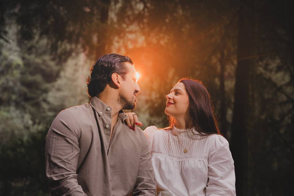 Desierto de los leones