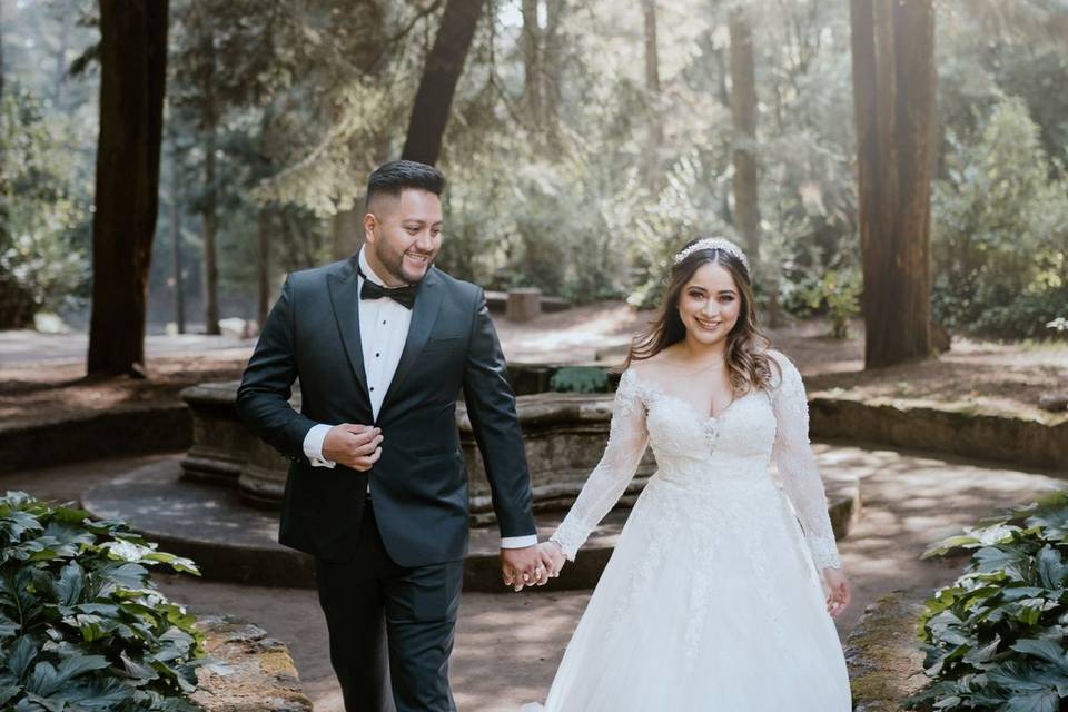 Desierto de los leones