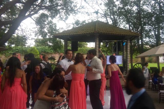 Bodas