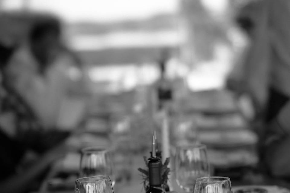 Grupo Celeste Event Planner
