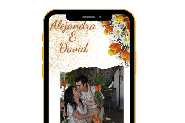 Boda de Alejandra y David
