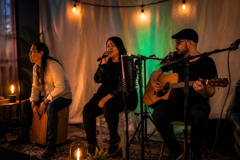 Sesión unplugged live