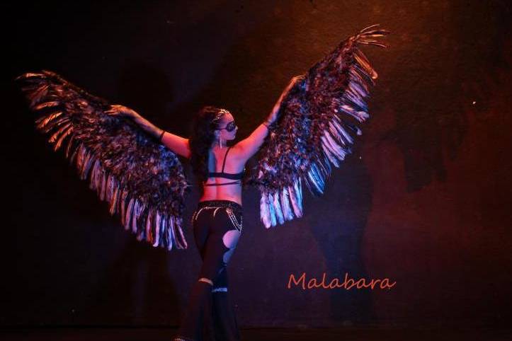 Malabara Circus Arts