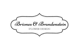 Briones & Brandenstein