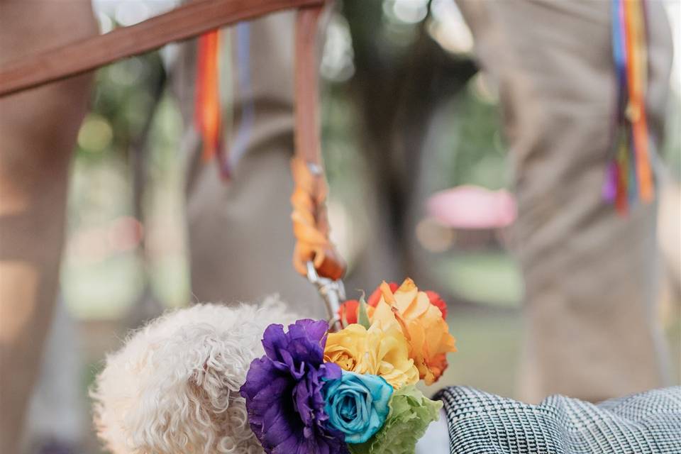 Flores para los mejores amigos