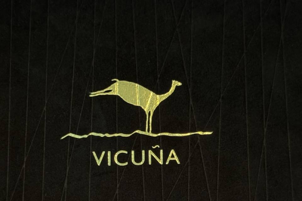 Vicuña