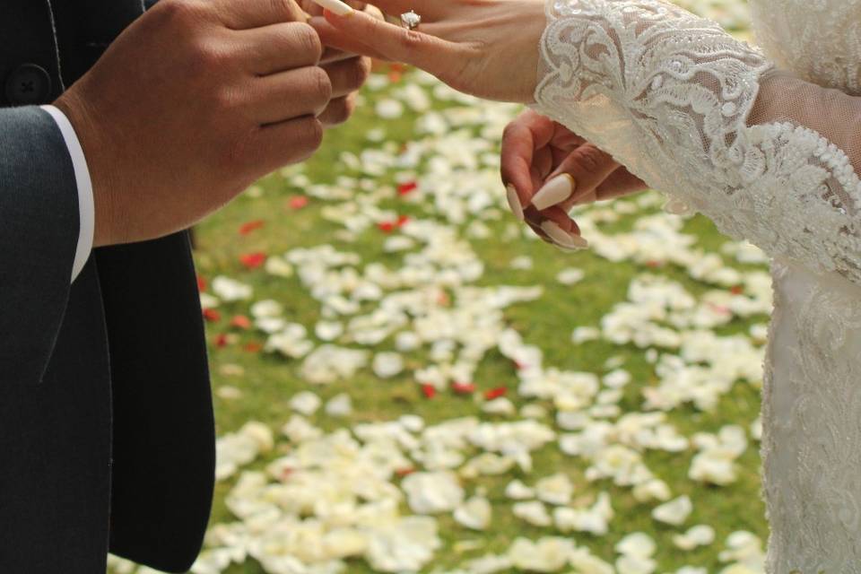 Boda Simbólica - Oficiante de ceremonia