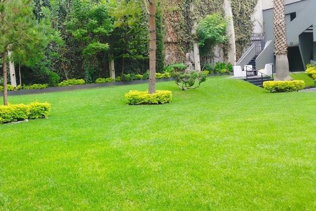 Jardín