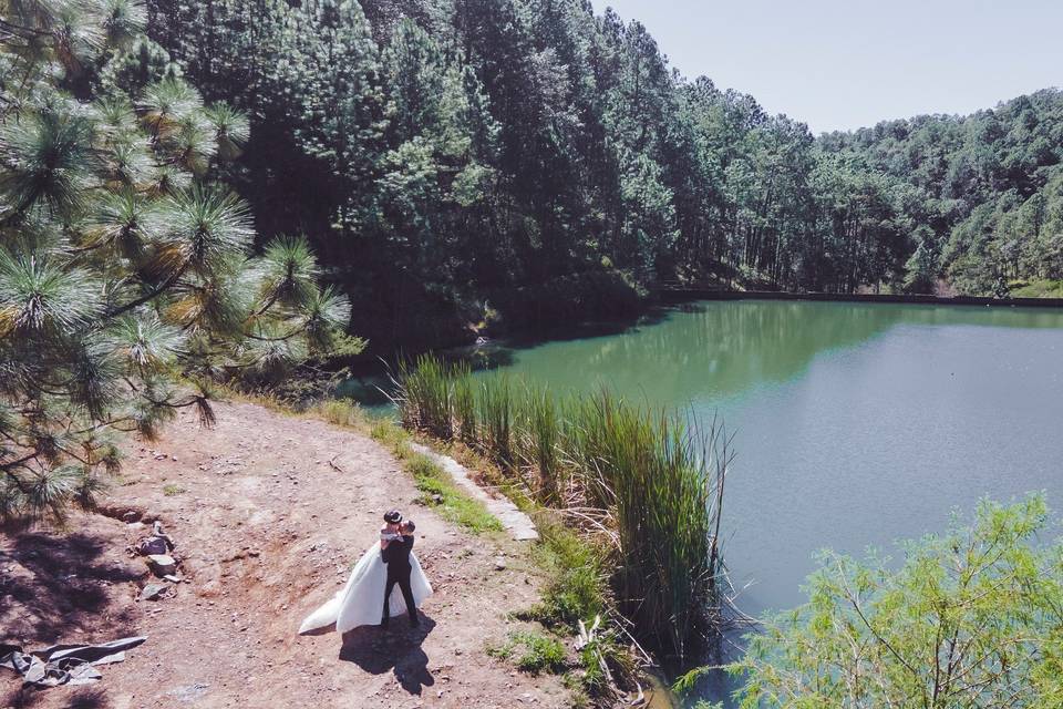 El bosque que conocimos