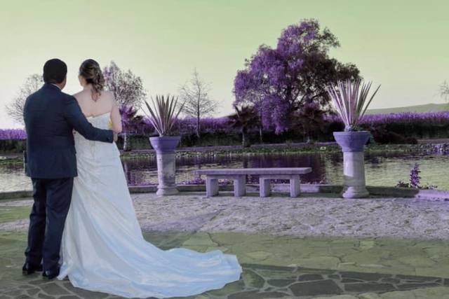 Bodas