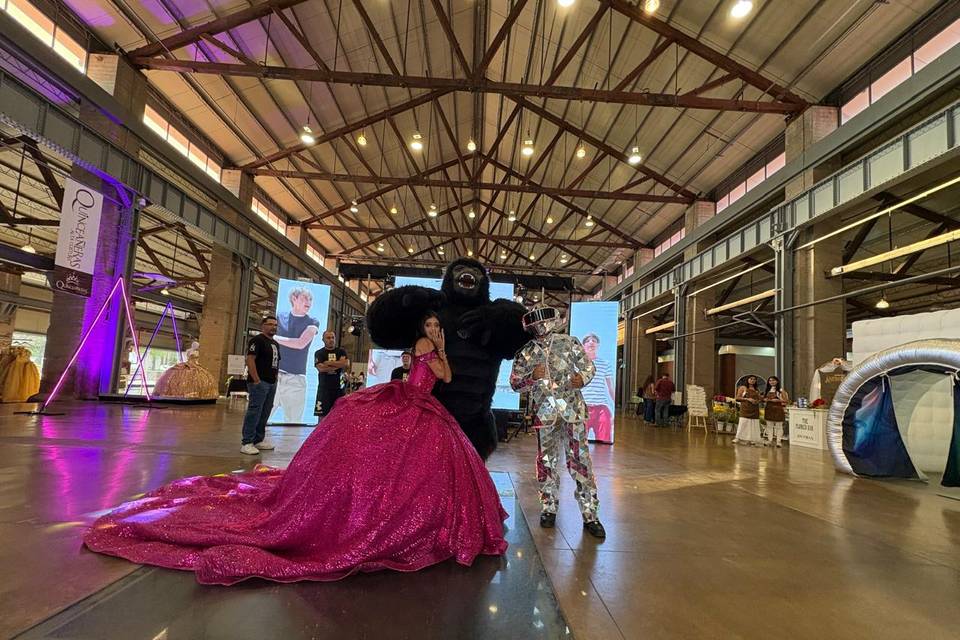 Gorila show