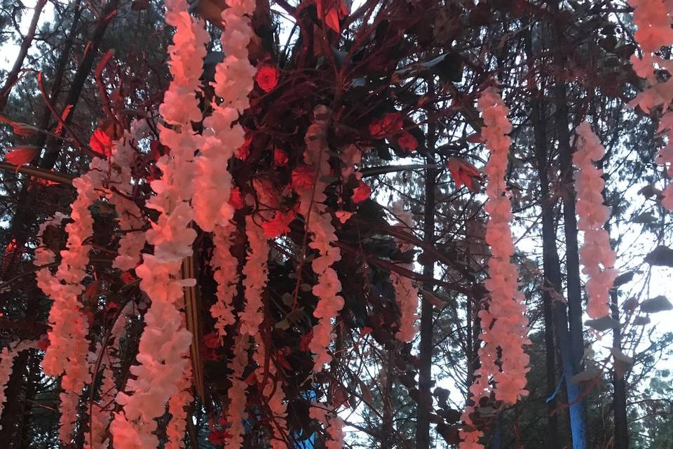 Boda en el bosque