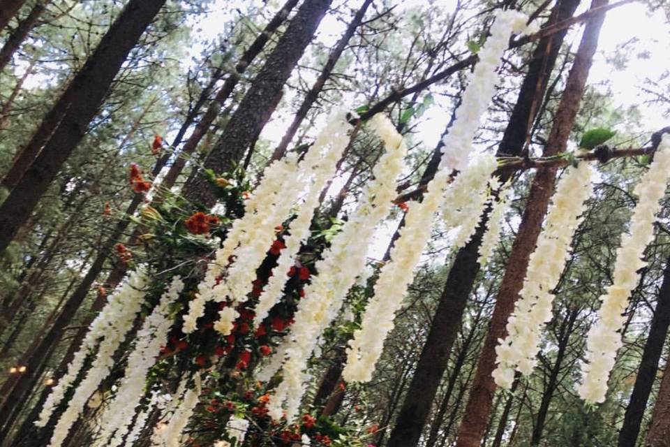 Boda en el bosque