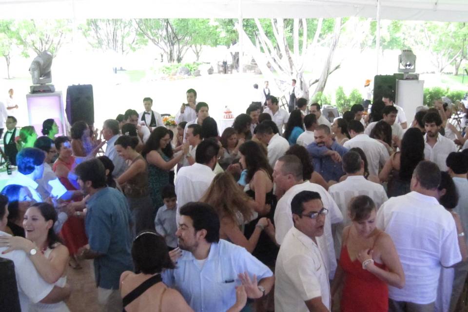 100% ambiente