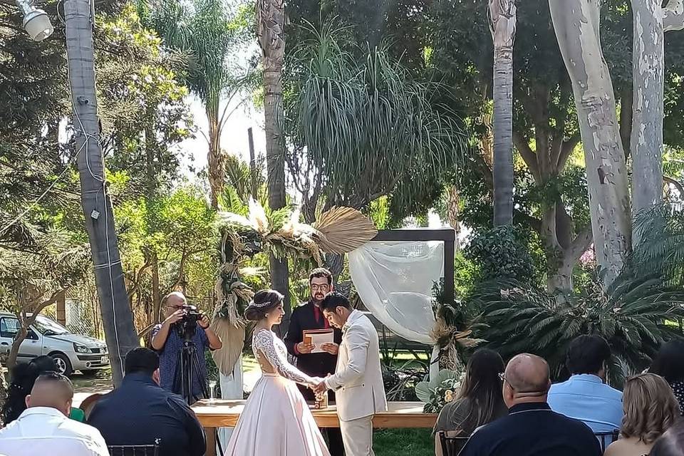 Bodas