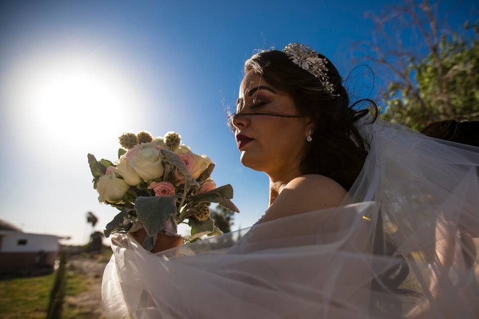 Boda Mi&Da. Torreón, Coahuila.