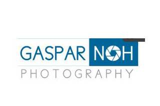 Gaspar Noh Photography logo